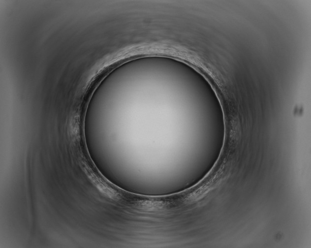 X0000100751499200806191131