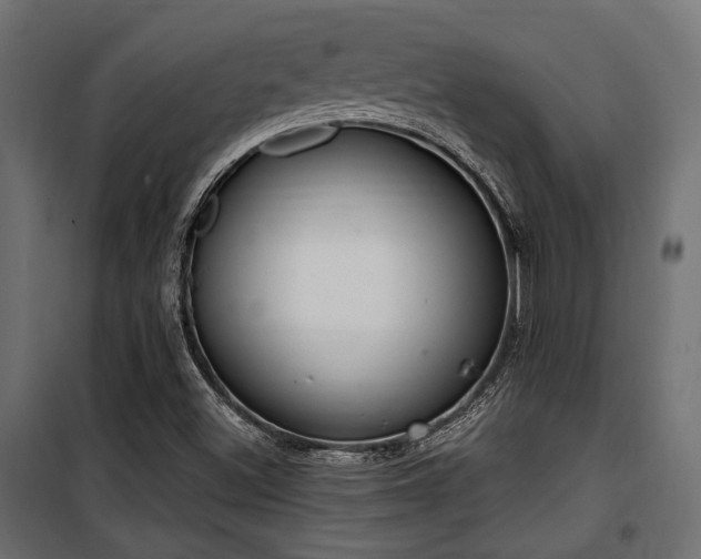 X0000100751500200806191131