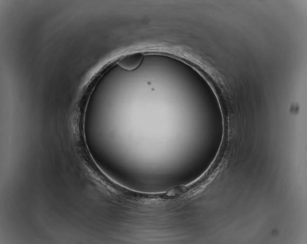 X0000100751502200806191131