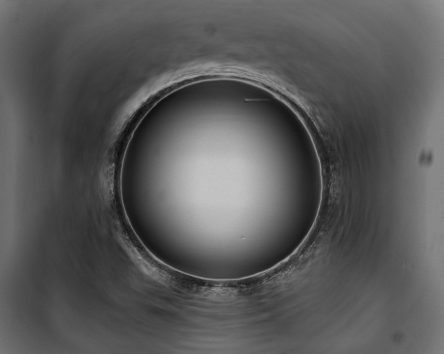 X0000100751503200806191131