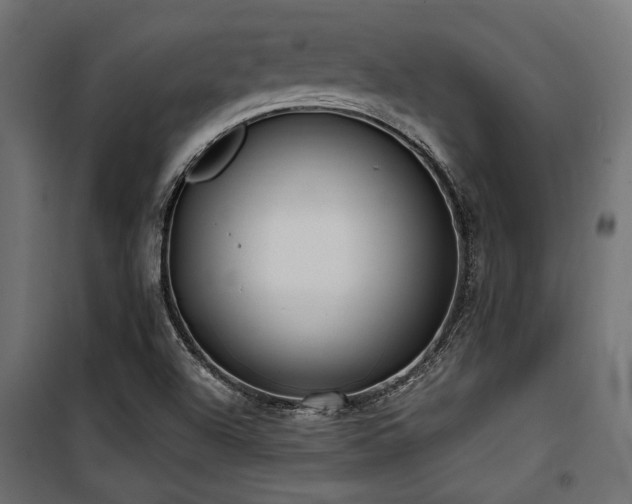 X0000100751504200806191131