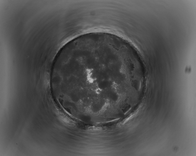 X0000100751505200806191131