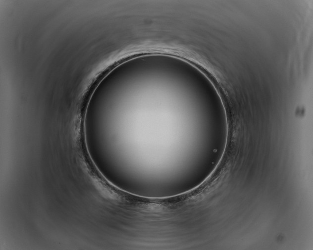 X0000100751507200806191131