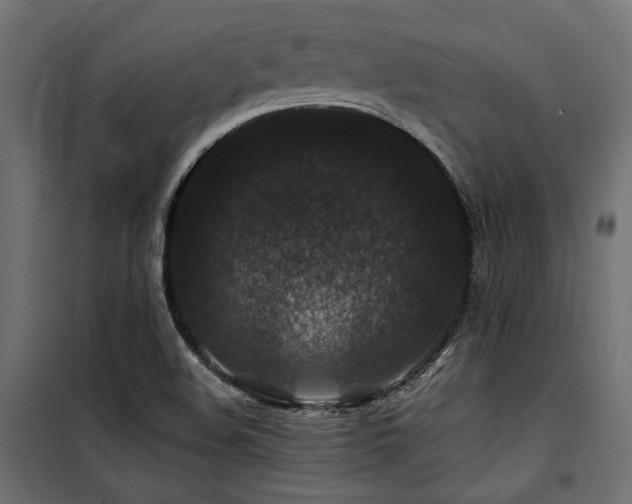 X0000100751508200806191131