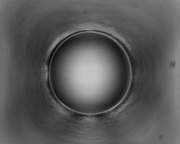 X0000100751509200806191131