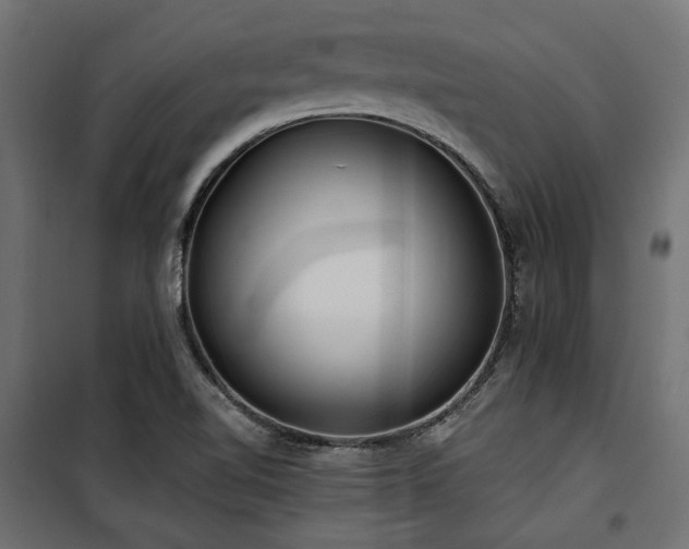 X0000100751510200806191131