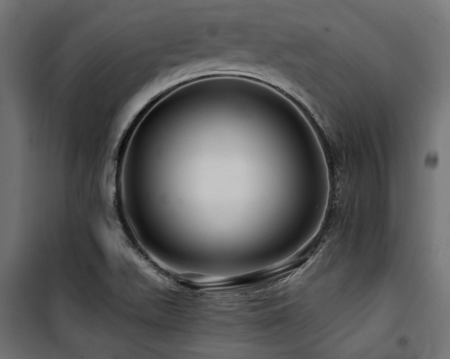 X0000100751511200806191131