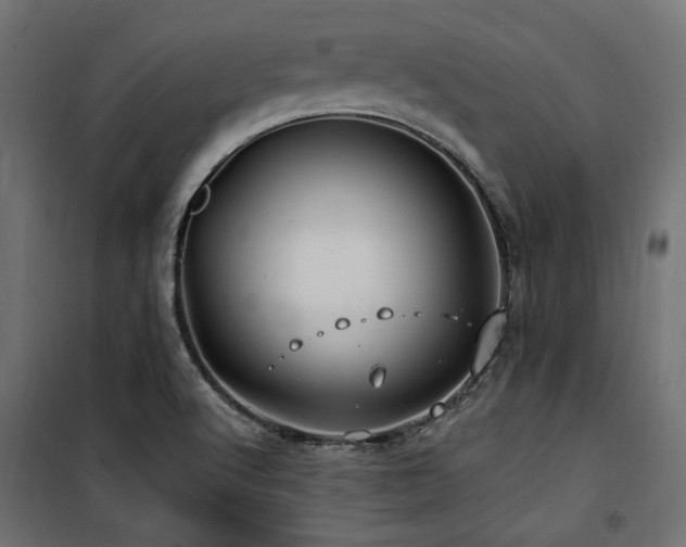 X0000100751512200806191131