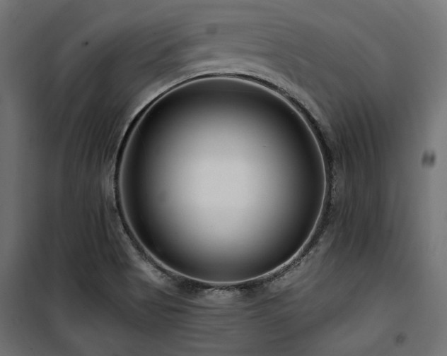 X0000100751513200806191131