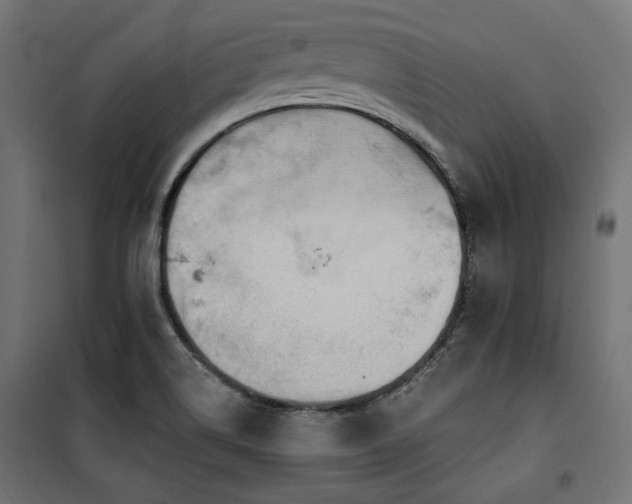X0000100751514200806191131