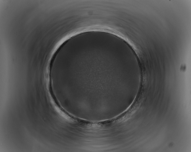 X0000100751515200806191131