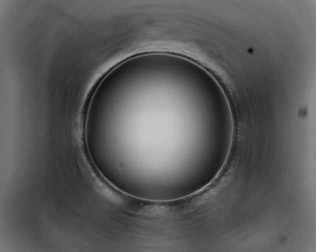 X0000100751517200806191131
