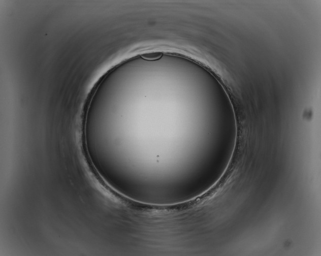 X0000100751518200806191131