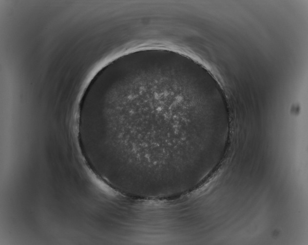 X0000100751519200806191131