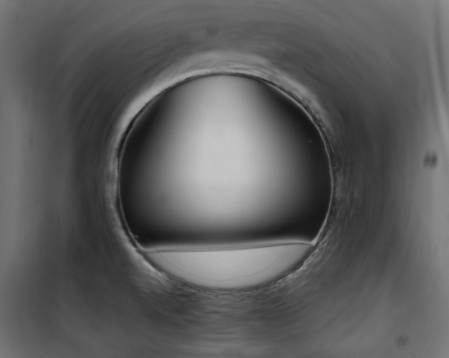 X0000100751520200806191131
