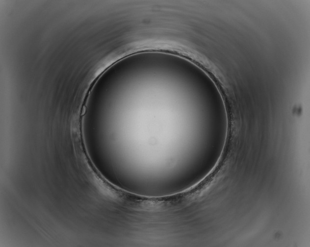 X0000100751521200806191131