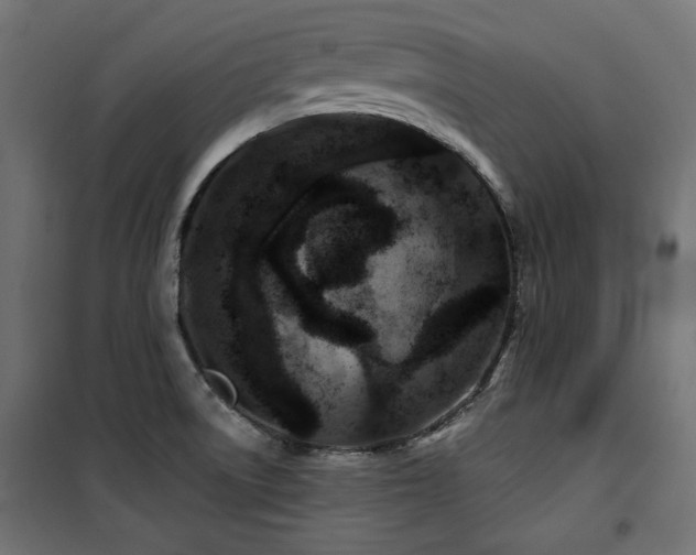 X0000100751522200806191131