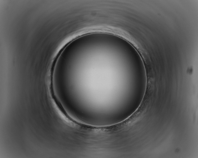 X0000100751523200806191131