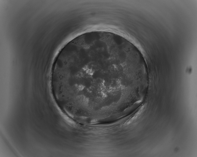 X0000100751525200806191131