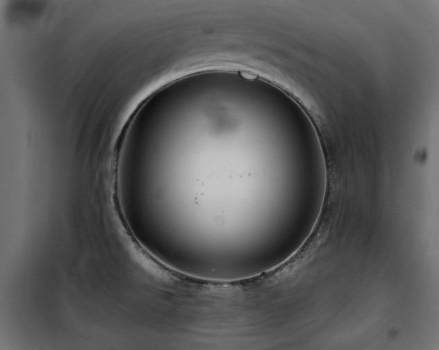 X0000100751526200806191131