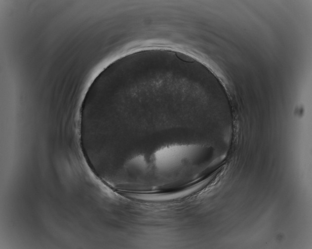 X0000100751527200806191131