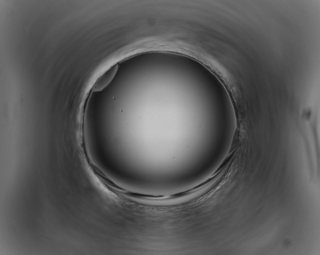 X0000100751528200806191131