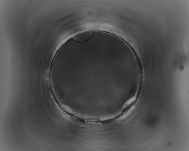 X0000100751529200806191131