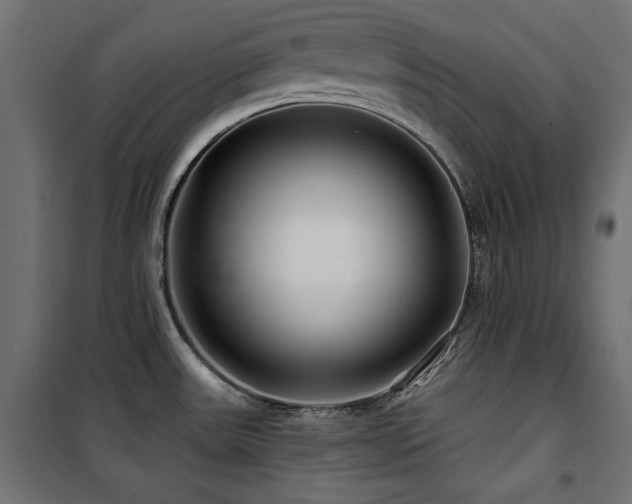 X0000100751531200806191131