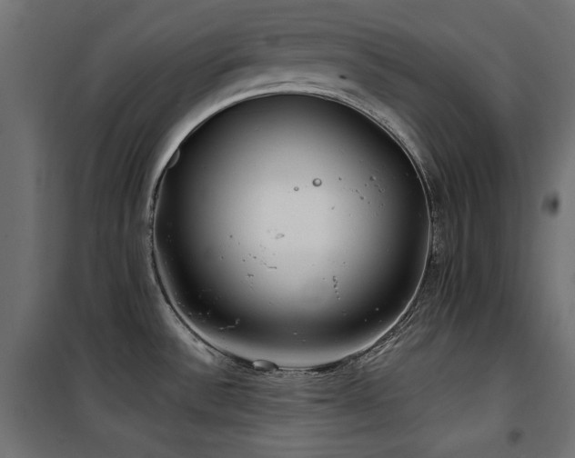 X0000100751532200806191132