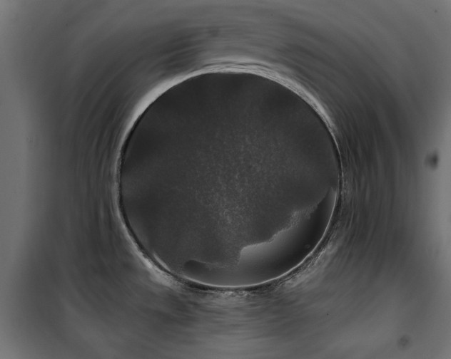 X0000100751533200806191132