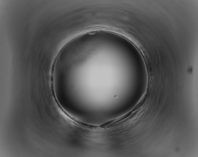 X0000100751535200806191132