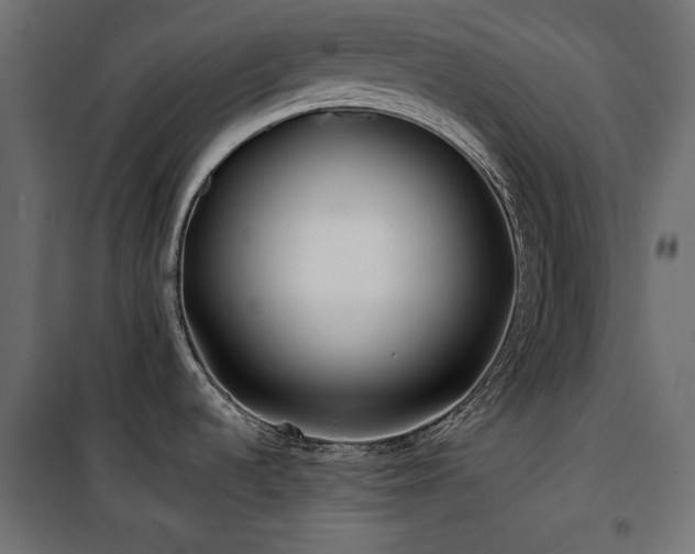 X0000100751536200806191132
