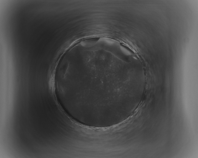 X0000100750002200806261553