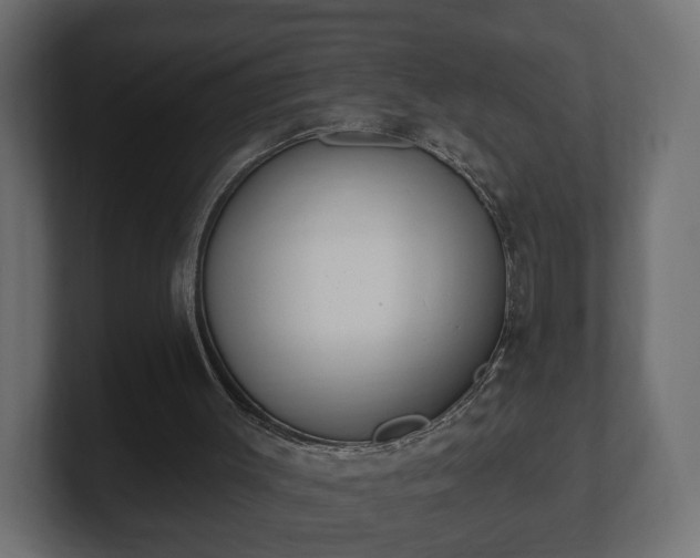 X0000100750003200806261553