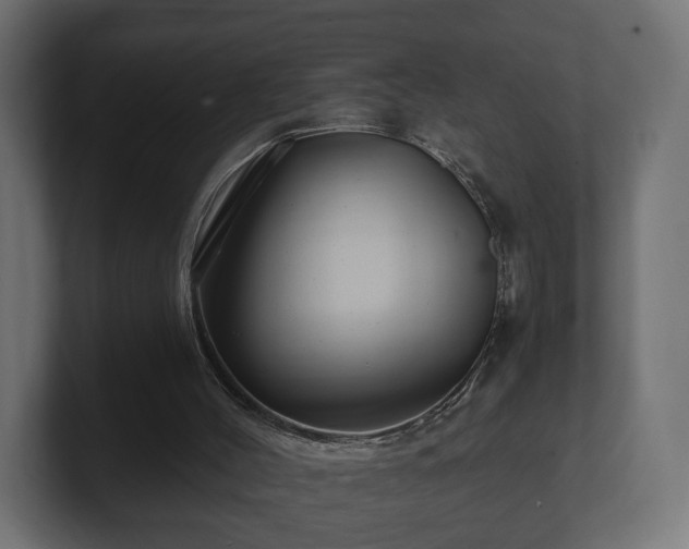 X0000100750004200806261553