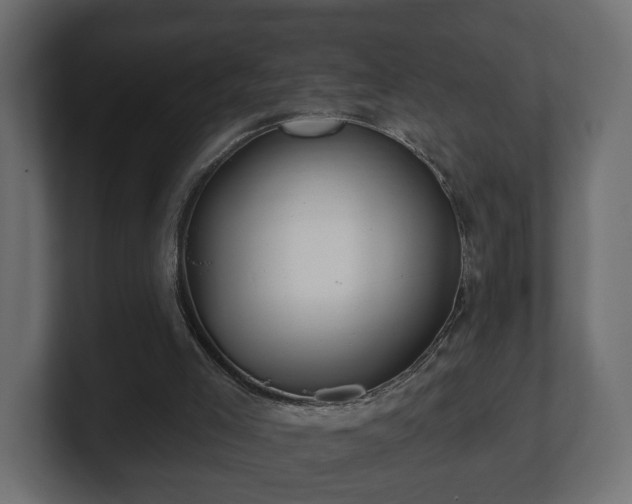 X0000100750005200806261553