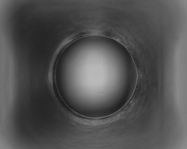 X0000100750006200806261553