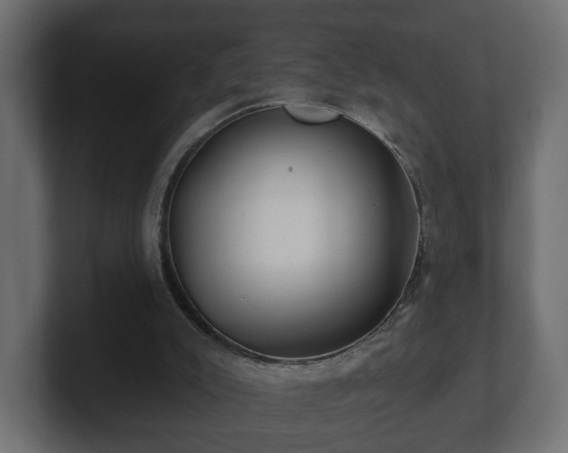 X0000100750007200806261553