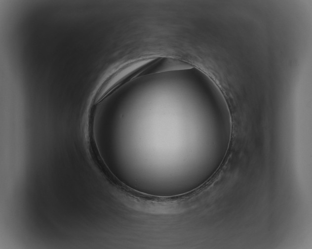 X0000100750008200806261553