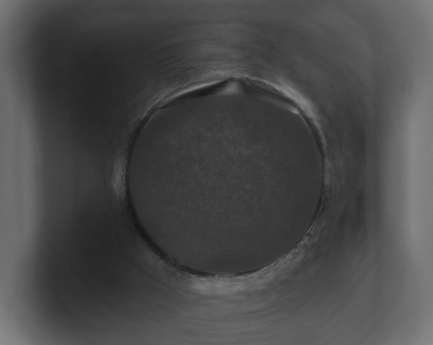 X0000100750009200806261553