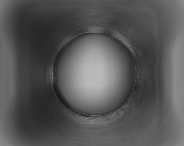 X0000100750011200806261553