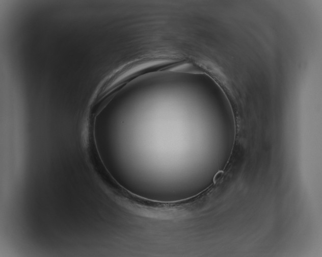 X0000100750012200806261553