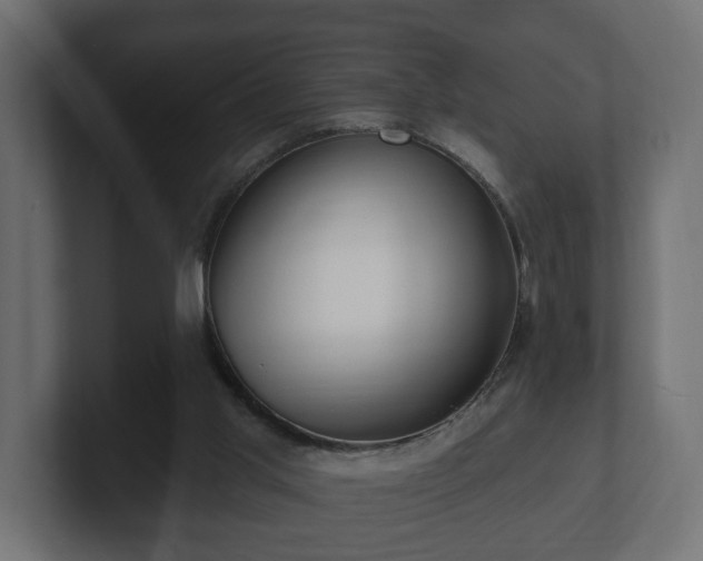 X0000100750013200806261553