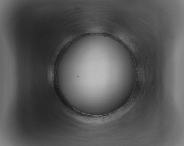 X0000100750015200806261553