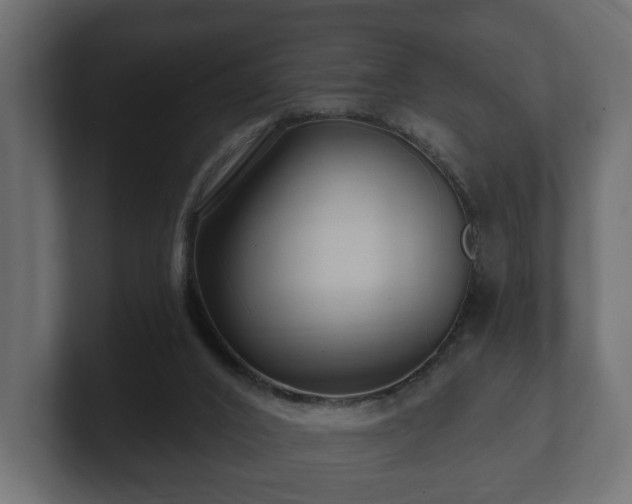 X0000100750016200806261553