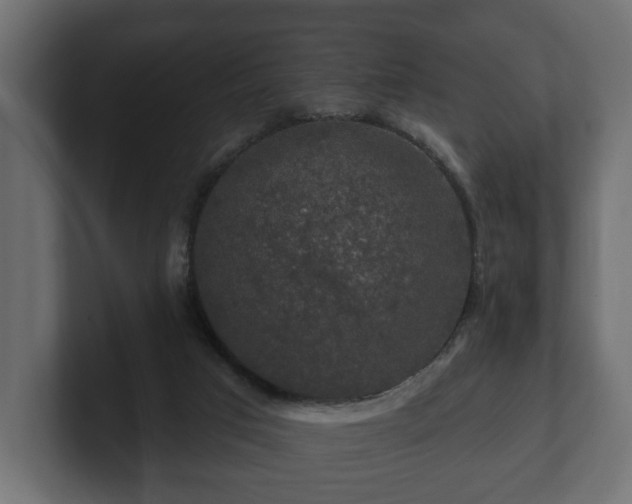 X0000100750017200806261553