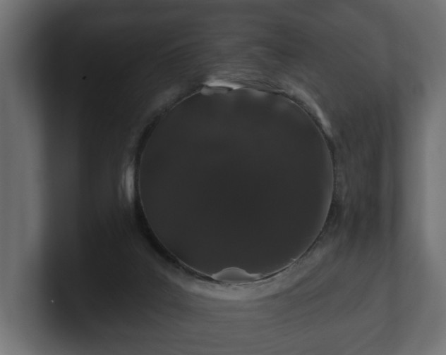 X0000100750019200806261553