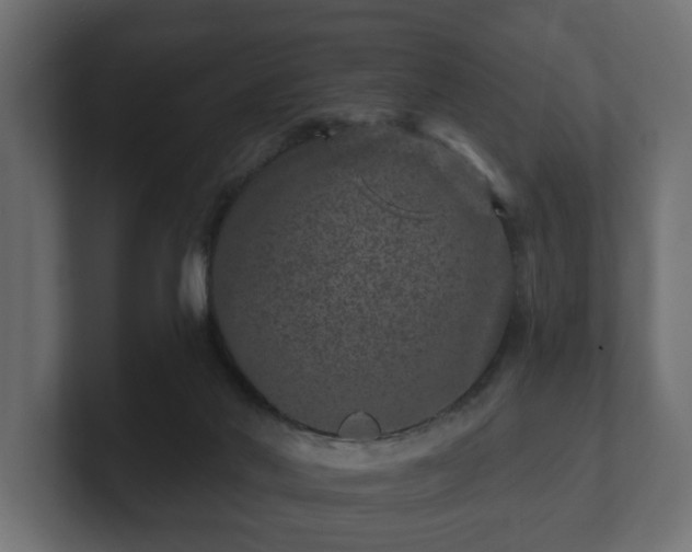 X0000100750022200806261553