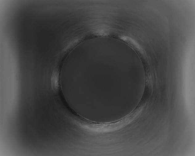 X0000100750023200806261553