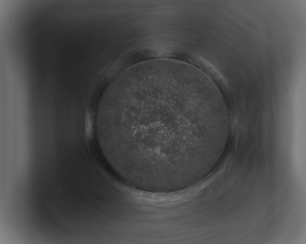 X0000100750026200806261553